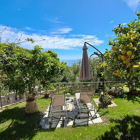 Florinda Lemon'S Suite Cervo Exterior photo
