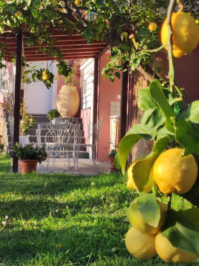 Florinda Lemon'S Suite Cervo Exterior photo