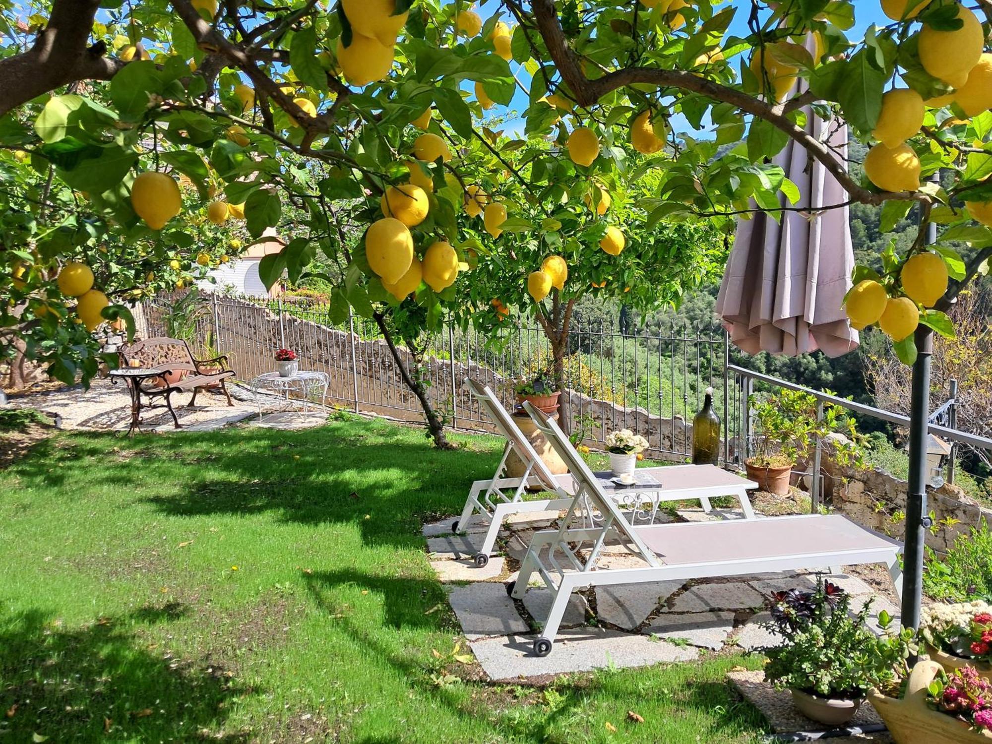 Florinda Lemon'S Suite Cervo Exterior photo